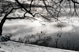 Calm Windermere